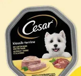 Fressnapf Cesar Klassik-Terrine Hundenahrung Angebot