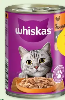 Fressnapf Whiskas Katzennassnahrung Angebot