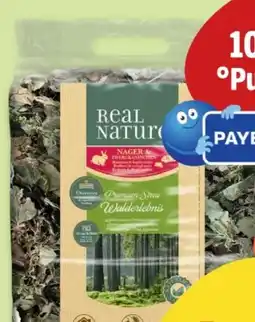Fressnapf Real Nature Überstreu Walderlebnis Angebot