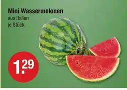 V Markt Mini wassermelonen Angebot