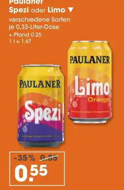 V Markt Paulaner spezi Angebot