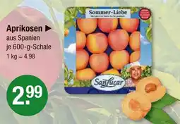 V Markt Sanlucar aprikosen Angebot