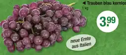 V Markt Trauben Angebot
