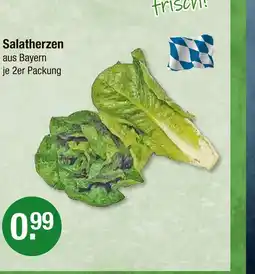 V Markt Salatherzen Angebot
