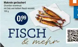 V Markt Makrele geräuchert Angebot