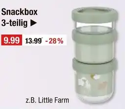 V Markt Snackbox Angebot