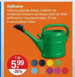 V Markt Gießkanne Angebot