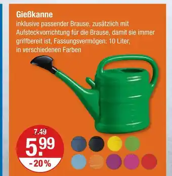 V Markt Gießkanne Angebot