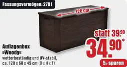 B1 Discount Baumarkt Auflagenbox Woody Angebot