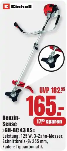 B1 Discount Baumarkt Einhell Benzin-Sense GH-BC 43 AS Angebot