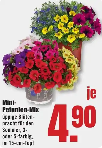 B1 Discount Baumarkt Mini Petunien-Mix Angebot