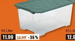 V Baumarkt Rotho BOX ,,EVO Safe" Angebot