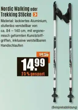 V Baumarkt Nordic Walking oder Trekking Stöcke Angebot