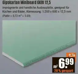 V Baumarkt Gipskarton Miniboard GKBI 12,5 Angebot
