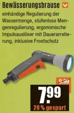 V Baumarkt Bewässerungsbrause Angebot