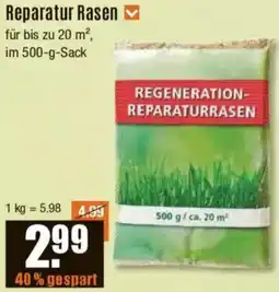 V Baumarkt Reparatur Rasen Angebot