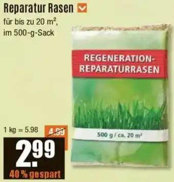 V Baumarkt Reparatur Rasen Angebot
