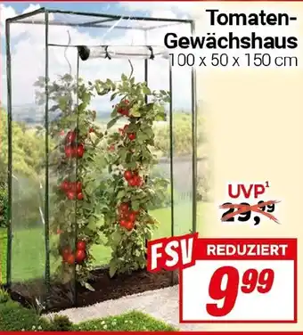 CENTERSHOP Tomaten- Gewächshaus Angebot