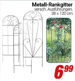 CENTERSHOP Metall-Rankgitter Angebot