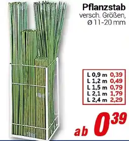 CENTERSHOP Pflanzstab 4er-Pack Angebot
