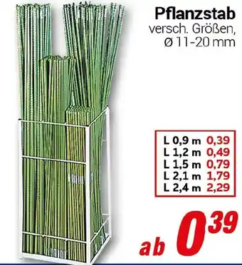 CENTERSHOP Pflanzstab 4er-Pack Angebot