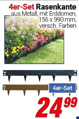 CENTERSHOP 4er-Set Rasenkante Angebot