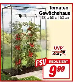 CENTERSHOP Tomaten- Gewächshaus Angebot