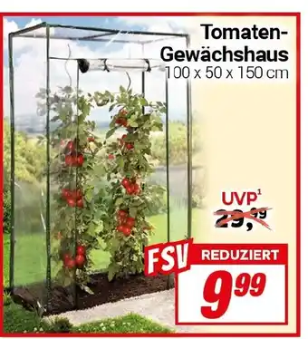 CENTERSHOP Tomaten- Gewächshaus Angebot