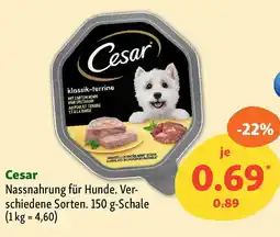 Fressnapf Cesar Nassnahrung für Hunde. Angebot