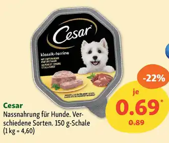 Fressnapf Cesar Nassnahrung für Hunde. Angebot