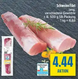 diska Schweine Filet Angebot