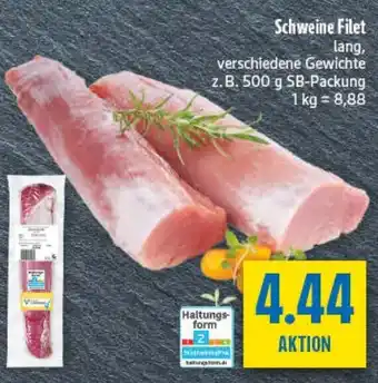 diska Schweine Filet Angebot