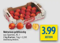 diska Nektarinen gelbfleischig Angebot