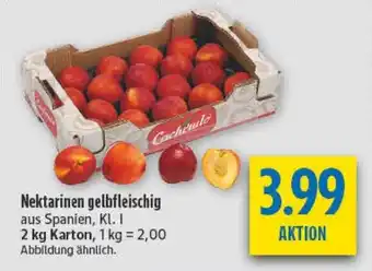 diska Nektarinen gelbfleischig Angebot