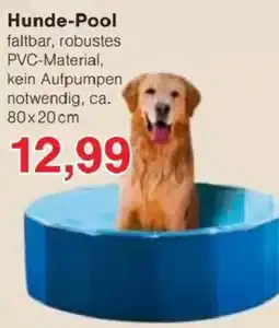 Jawoll Hunde-Pool Angebot