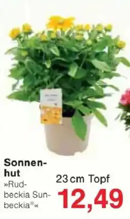Jawoll Sonnen- hut Angebot