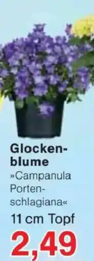 Jawoll Glocken- blume Angebot