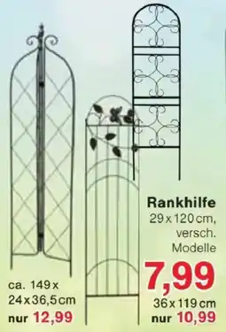 Jawoll Rankhilfe 29x120 cm Angebot
