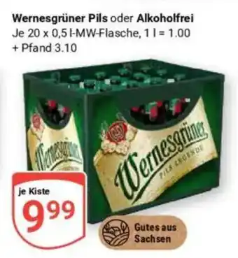 Globus Wernesgrüner Pils oder Alkoholfrei Angebot