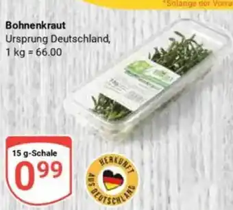 Globus Bohnenkraut Angebot