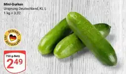 Globus Mini-Gurken Angebot