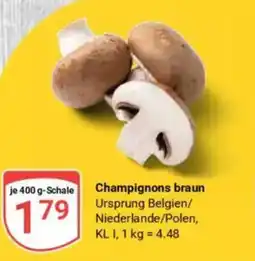 Globus Champignons braun Angebot