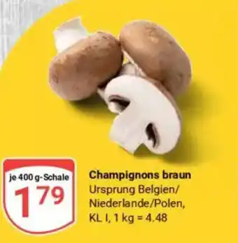 Globus Champignons braun Angebot