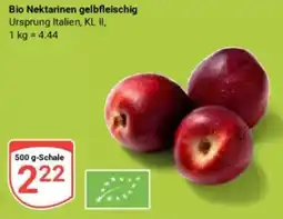 Globus Bio Nektarinen gelbfleischig Angebot