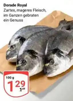 Globus Dorade Royal Angebot
