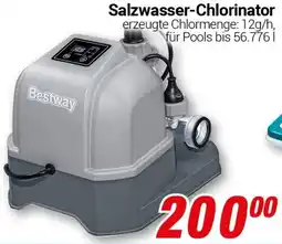 CENTERSHOP Bestway Salzwasser-Chlorinator Angebot