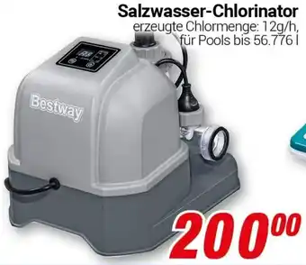 CENTERSHOP Bestway Salzwasser-Chlorinator Angebot