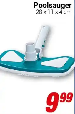 CENTERSHOP Poolsauger Angebot