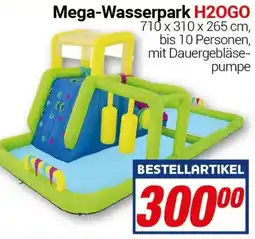 CENTERSHOP Mega-Wasserpark H2OGO Angebot