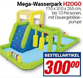 CENTERSHOP Mega-Wasserpark H2OGO Angebot